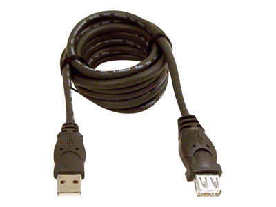 Belkin 6ft USB A/A 2.0 Extension Cable, M/F, 480Mps USB extension cable USB (M) to USB (F)  image