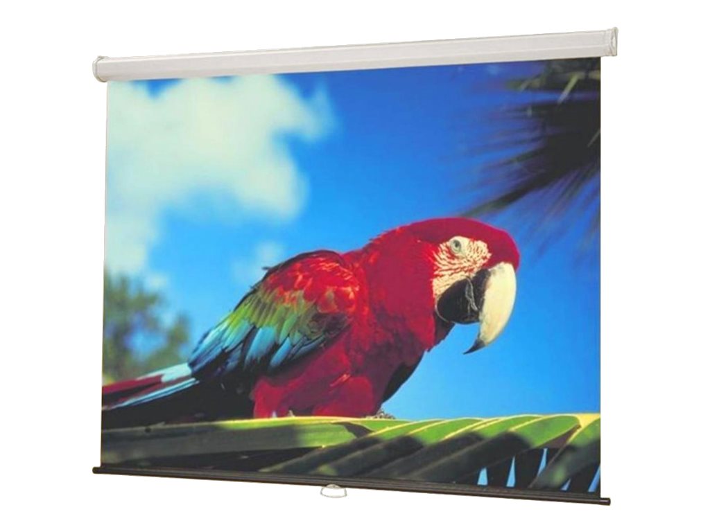 Draper Luma NTSC Format Fiberglass Matt White