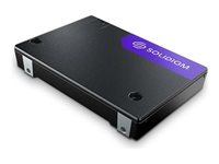 Solidigm D7-PS1010 Series - SSD - Enterprise - 3.84 TB - U.2 PCIe 5.0 x4 (NVMe)
