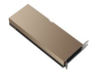 NVIDIA H100 NVL - GPU computing processor - NVIDIA H100 Tensor Core - 94 GB