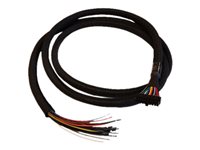 Cradlepoint - GPIO cable - 20 pin dual row Molex to bare wire - 1.98 m