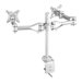 NEOMOUNTS FPMA-D1030D Desk Mount 10-24p