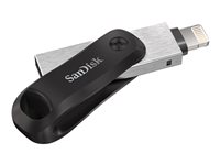 SanDisk iXpand Go USB Flash Drive - 256GB - SDIX60N-256G-GN6NE