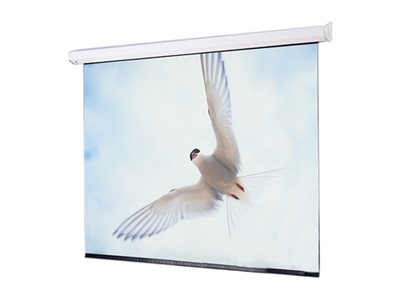 Draper Targa 16:9 HDTV Format Projection screen ceiling mountable motorized 110 V 