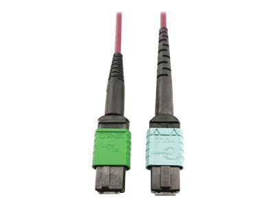 Eaton Tripp Lite Series 400G Multimode 50/125 OM4 Plenum Fiber Optic Cable, 16F MTP/MPO-APC to 24F MTP/MPO-UPC (F/F), Magenta, 1 m