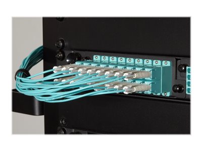 Black Box Premium - Patch cable