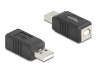 Delock USB-adapter Sort