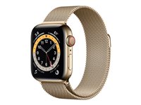 Apple Watch Series 6 (GPS + Cellular) - guld, rostfritt stål - smart klocka med milanesisk loop - guld - 32 GB