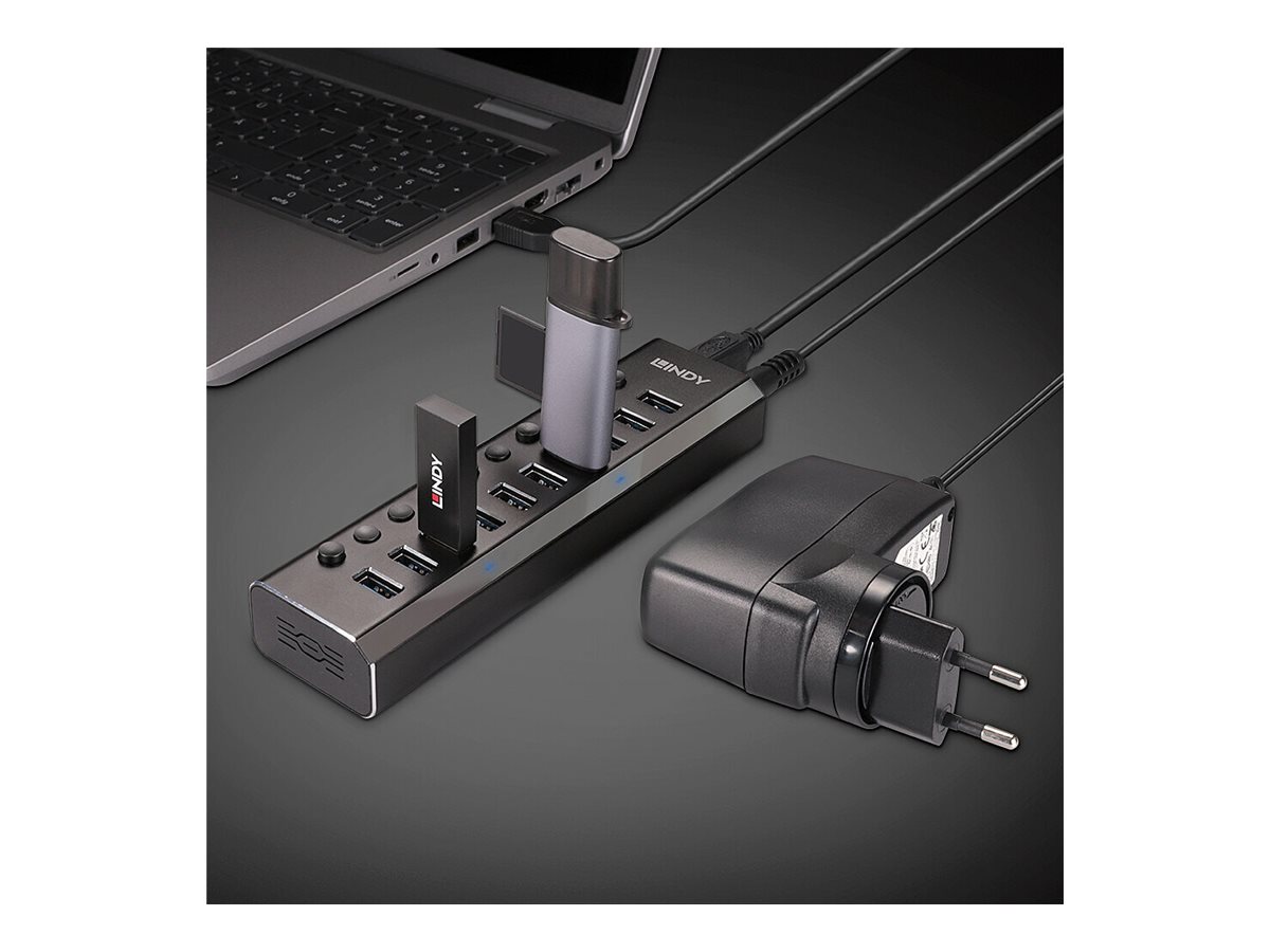 An image of Lindy - hub - with on/off switches - 10 ports