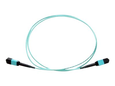 Axiom - Crossover cable