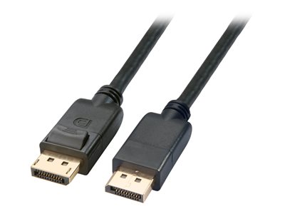 Axiom - DisplayPort cable