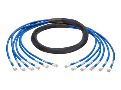Tripp Lite 10ft Augmented Cat6 Cat6a Pre-Terminated Copper Trunk Bundle 6xRJ45 M/M 10'