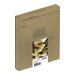 EPSON 2LB Multipack 4-colour 16