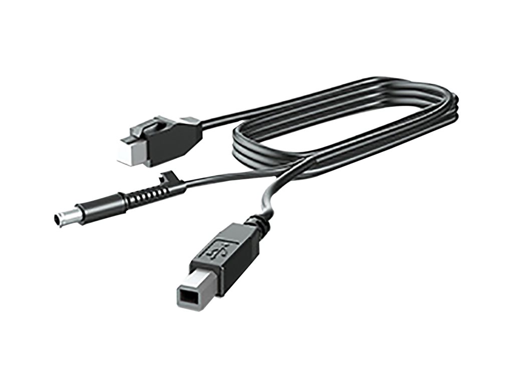 HP 300cm DP+Y CABLE L701xt