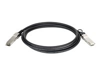 D-Link Produits D-Link DEM-CB300QXS