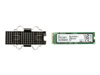 HP - SSD - 512 GB - internal - M.2 2280 - PCIe (NVMe) - for Workstation Z2 G4, Z4 G4, Z6 G4