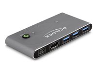 DeLock KVM / audio / USB switch