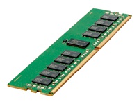 HPE Standard Memory - DDR5 - module - 16 Go 