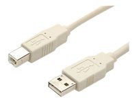 StarTech.com 6 ft Beige A to B USB 2.0 Cable - M/M - 6ft type a to b USB Cable - 6ft a to b USB 2.0 Cable - 6ft a to b USB Cable (USBFAB_6)