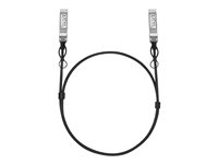 TP-Link Omada SM6220-1M V1 - 25GBase direct attach cable - 1 m