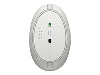 HP PikeSilver Spectre Mouse 700 Europe