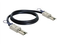 DeLOCK Serial Attached SCSI (SAS) eksternt kabel Sort 1m