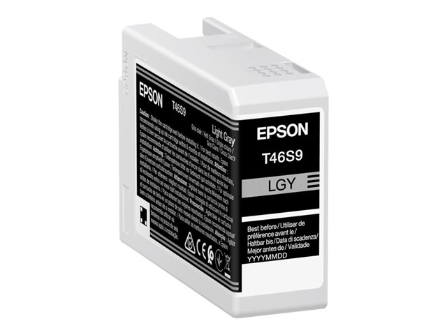 Image of Epson UltraChrome Pro T46S9 - light grey - original - ink tank