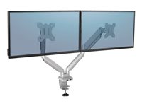 FELLOWES Bras Porte-Ecrans Double Gris