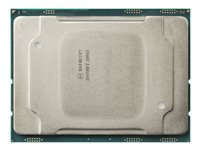 Intel Xeon Gold 6238 / 2.1 GHz processor