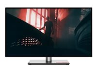 LENOVO ThinkVision P27q-30 27p TS
