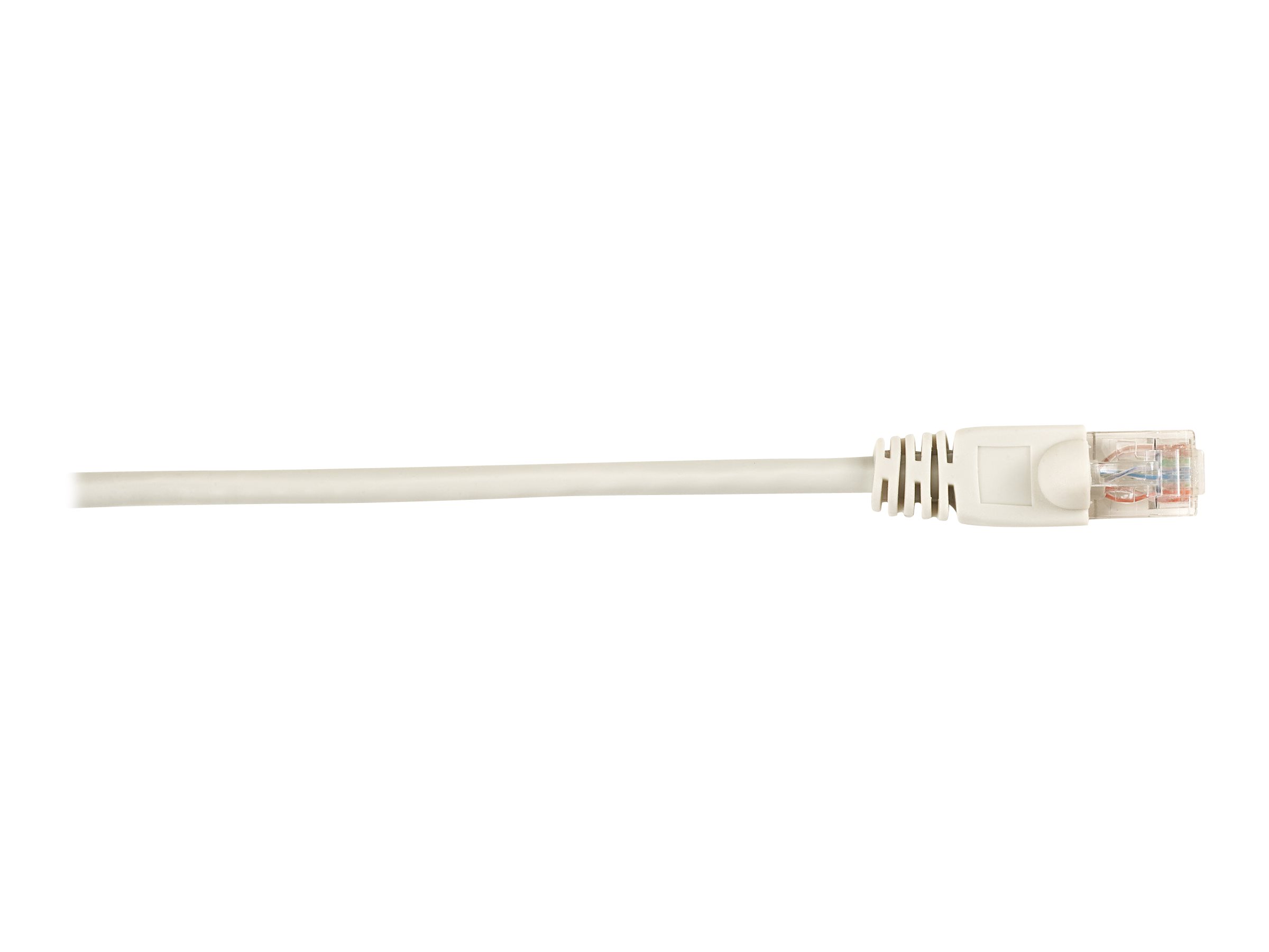 Black Box Connect - Patch cable