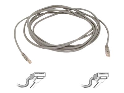 Belkin - Patch cable