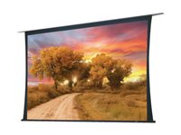 Draper Access/Series V Electric 16:10 Format Projection screen ceiling mountable motorized 