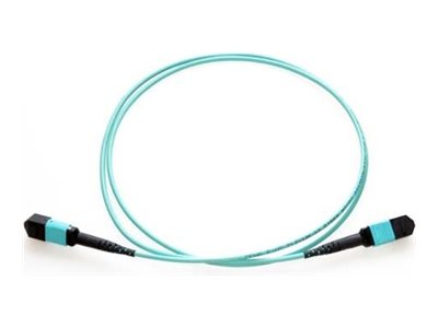 Axiom - Trunk cable - TAA Compliant