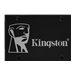 Kingston i-TEMP