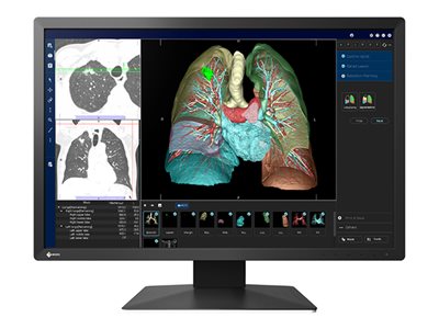EIZO RadiForce MX243W-BK