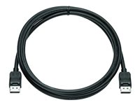 HP DISPLAYPORT CABLE KIT