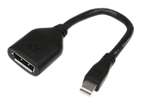 StarTech.com - Câble DisplayPort - DisplayPort (F) pour Mini DisplayPort (M) - 15.2 cm 