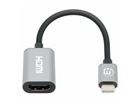 Manhattan adapter - HDMI / USB - 11 cm