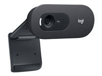 Logitech C505e Webkamera Fortrådet