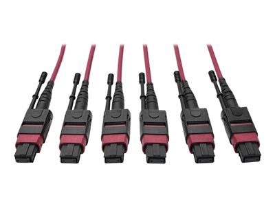 Tripp Lite 24-Fiber MTP MPO OM4 Base-8 MMF Trunk Cable 40/100GbE 3X, 61M