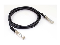 Axiom - Câble d'attache direct 25GBase-CU - SFP28 (M) pour SFP28 (M) - 250 cm 