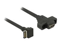 DeLOCK USB 3.1 USB intern til ekstern kabel 45cm Sort