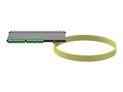 OS2 B2CA 24F CASSETTE LC/APC