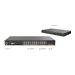 Peplink Switch Series
