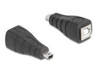 Delock USB-adapter Sort