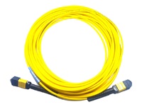 Cisco - Câble de tronc - MPO-12 type-B monomode pour MPO-12 type-B monomode - 1 m 