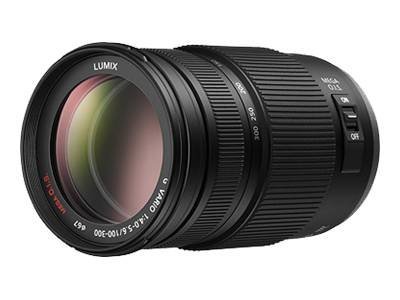 H-FS100300E - Panasonic Lumix H-FS100300E - telephoto zoom lens