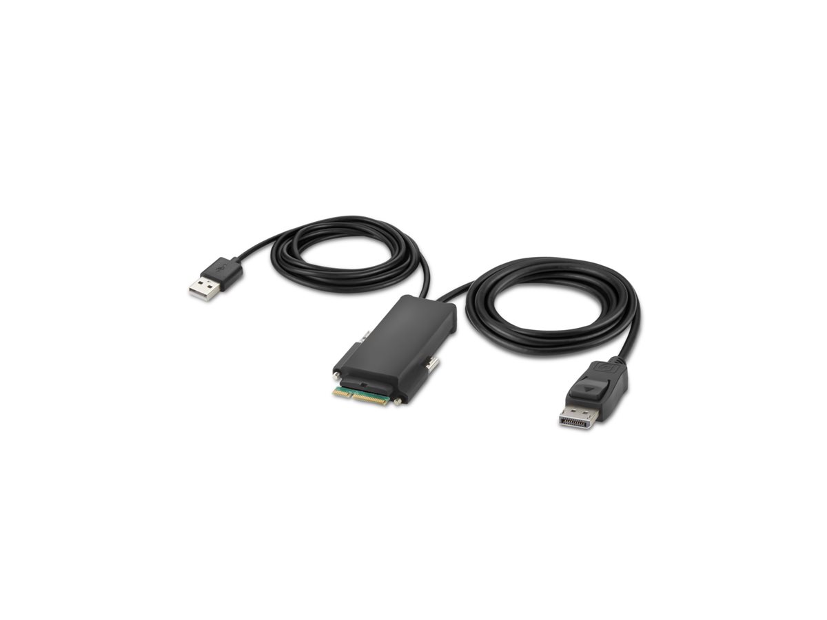Belkin Secure Modular DP Single Head Host Cable