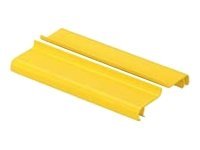 Panduit FiberRunner 4x4 Split Hinged Cover